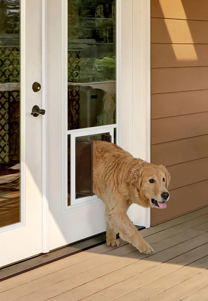 Turn Any French Door into a Fully Functional Dog Door KB resource