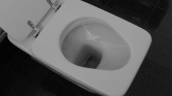 The Toilet: Taking Care of Business