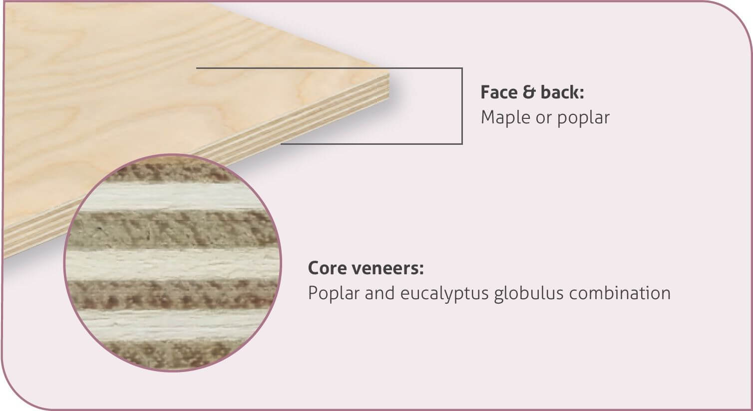 Move Over Russian Baltic Birch Garnica Offers Viable, Sustainable Alternatives KB resource